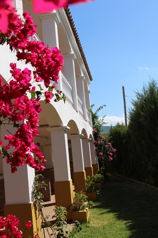 Apartamentos Bolonia Paraiso 외부 사진
