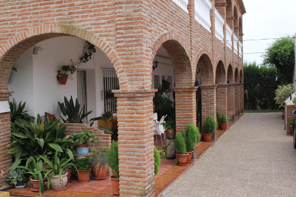 Apartamentos Bolonia Paraiso 외부 사진